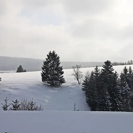 Inviting In Saxony Διαμέρισμα Altenau (Lower-Saxony)