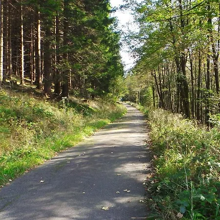 Inviting In Saxony Διαμέρισμα Altenau (Lower-Saxony)