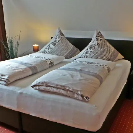 Διαμέρισμα Inviting In Saxony *